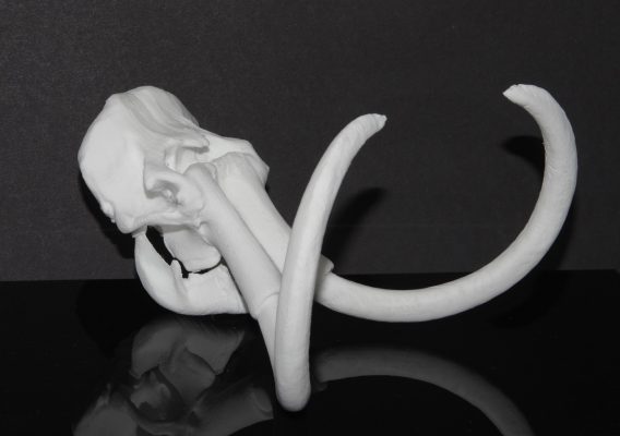 3D Printed Mammoth Tusk