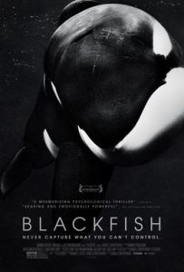 the cover of the movie blackfish. never capture what you can't control is the subtext.