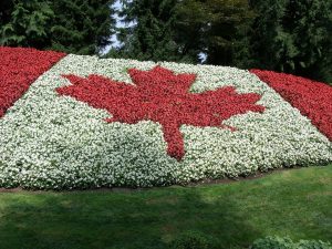 Image of a Canadian flag made of flowers