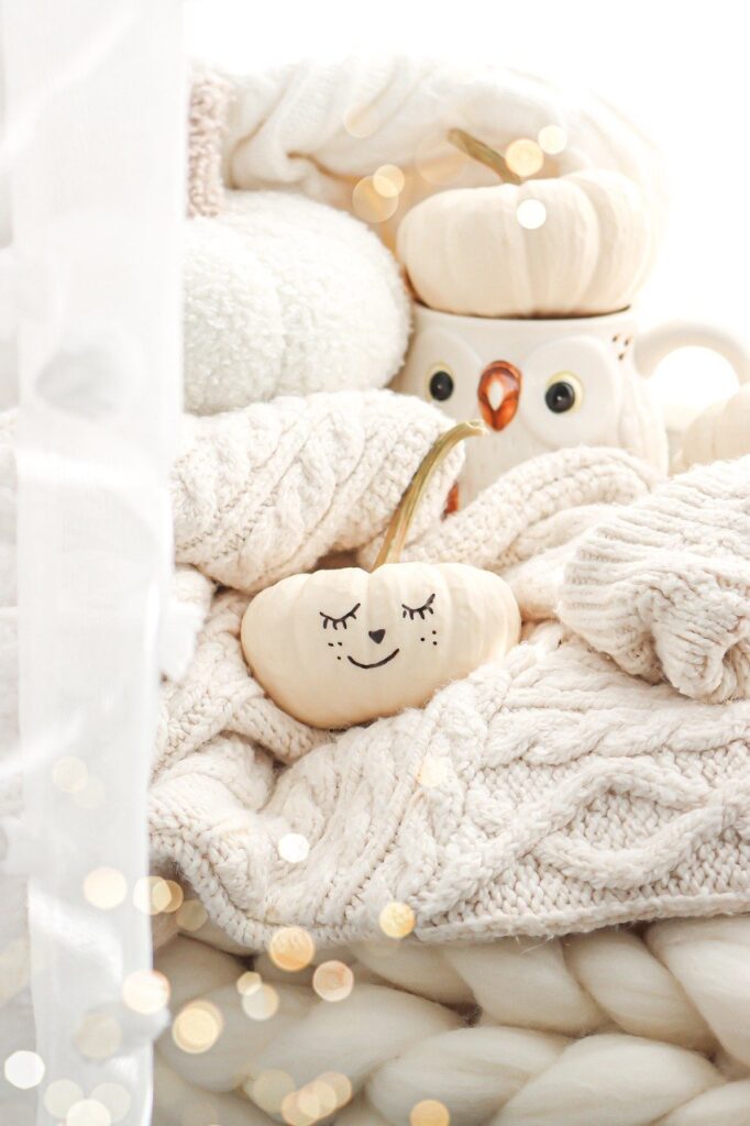 Image-of-cozy-white-blankets-white-pumpkins-and-white-owl