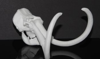 3D Printed Mammoth Tusk