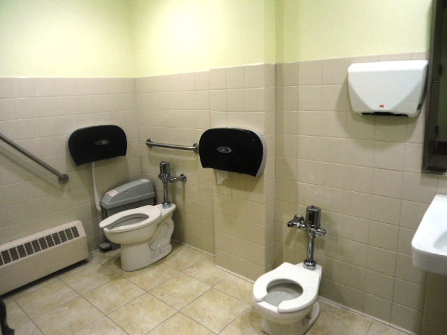 adult-and-child-toilet
