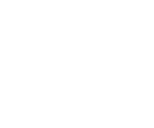 Phone logo