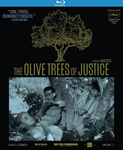 The olive trees of justice